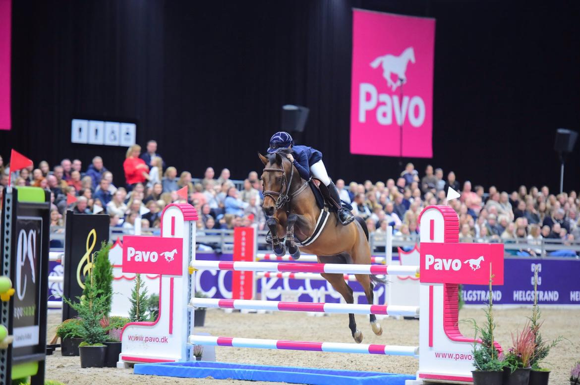 Springreiten im Parcours