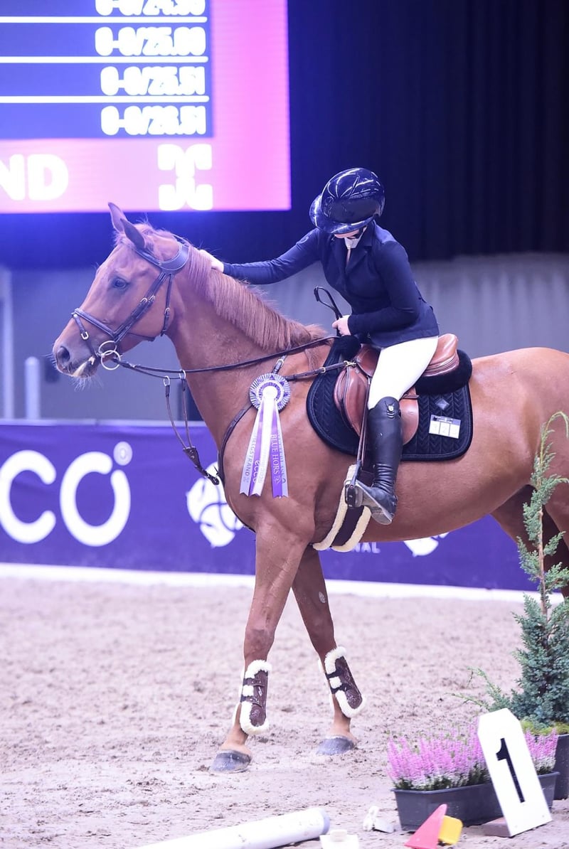 Reiterin mit Pferd in der Halle